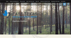 Desktop Screenshot of easttexasoralsurgery.com